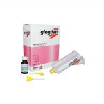GINGIFAST